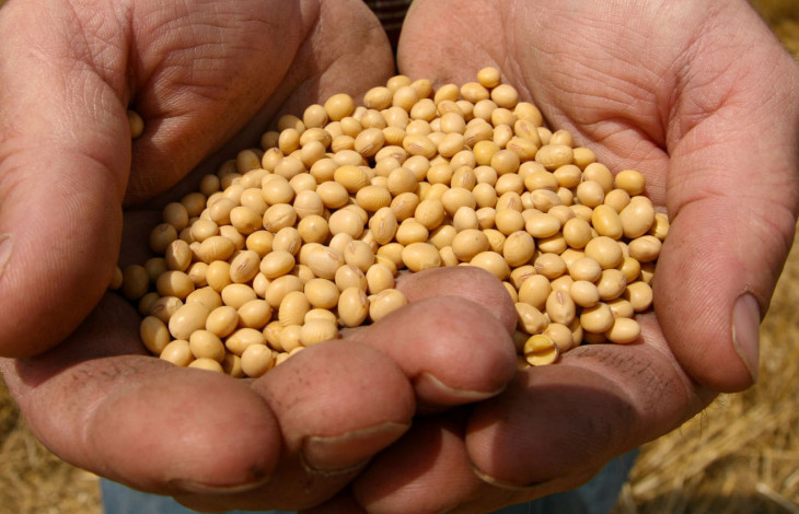 Monsanto aposta do Big Data. Foto: divulgação.