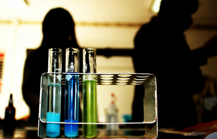 Estudos são relacionados à segurança alimentar e à biologia sintética. Foto: flickr.com/photos/danielamedeira.