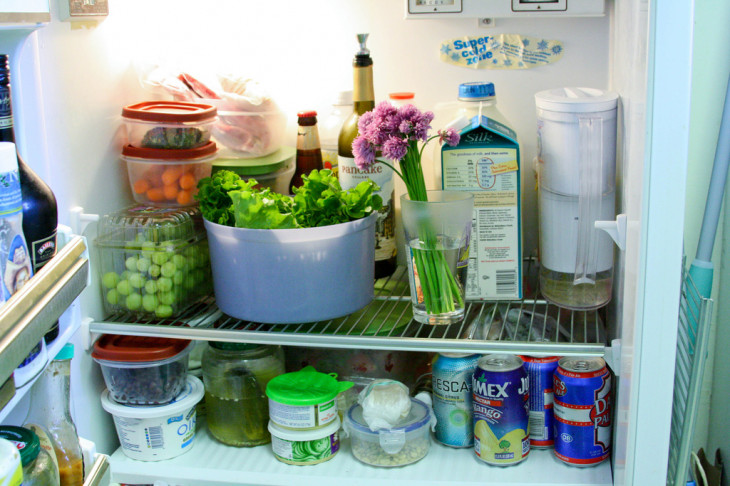 Até a geladeira. Foto: flickr.com/photos/brixton
