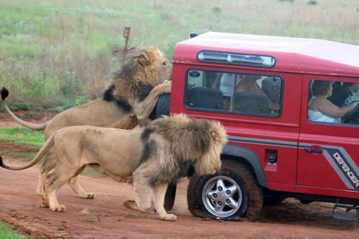 "Que pacote vocês tem aí?". Foto: divulgação.