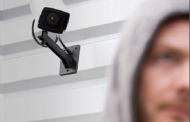 34% das companhias usam software livre. Foto: Divulgação.