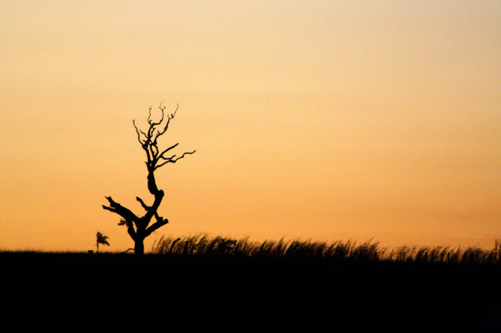 Por do sol no cerrado matogrossense. Foto: flickr.com/photos/55535339@N00