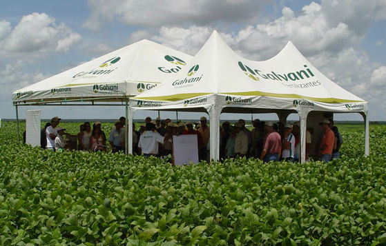 As receitas totais da Galvani registraram, em 2013, US$ 352 milhões. Foto: Divulgação.