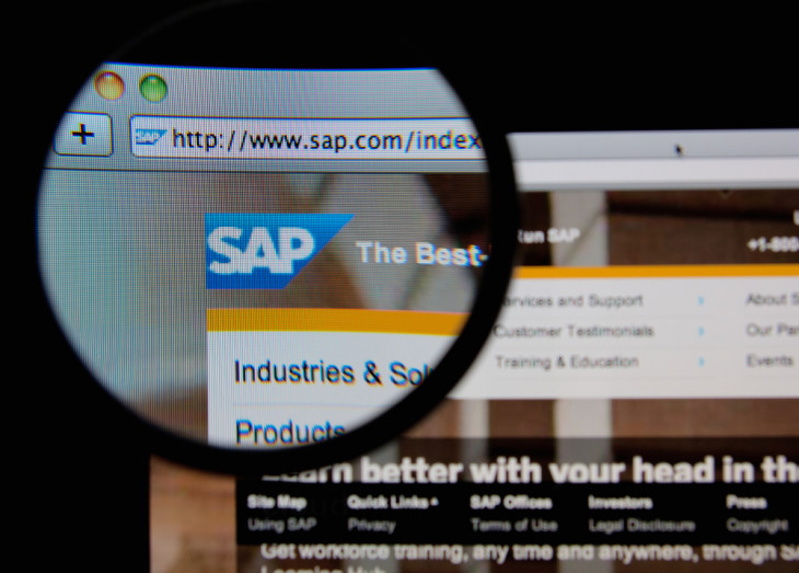 FH conhece SAP no detalhe. Foto: Gil C / Shutterstock.com