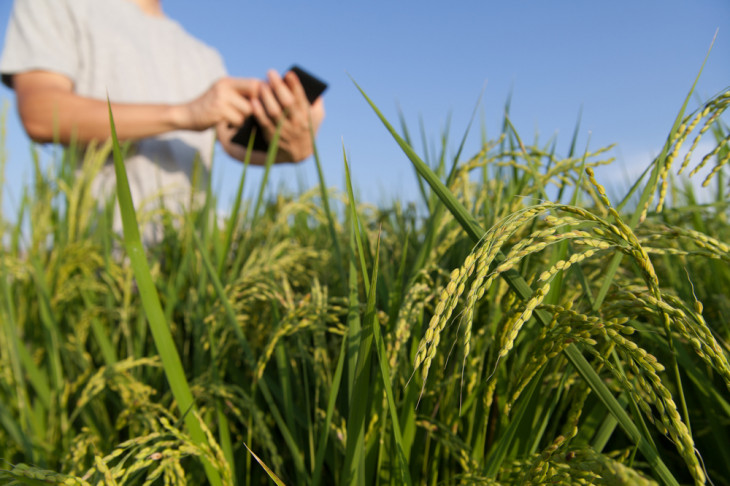 Ferramenta quer propiciar a oferta ou compra estruturada de insumos e mercadorias. Foto: hiroshi teshigawara/Shutterstock.com