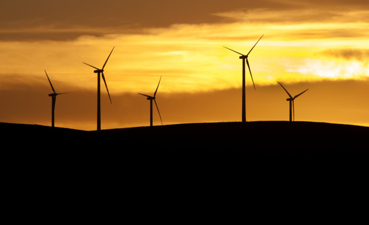 A CPFL lidera o segmento de energias renováveis no Brasil. Foto: A.S.Floro/Shutterstock.com