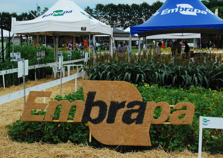 Embrapa adota tecnologia Liferay. Foto: divulgação.