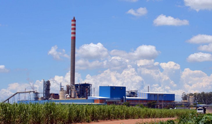 Grupo de celulose e refinaria de óleo adota ERP SAP. Foto: divulgação.
