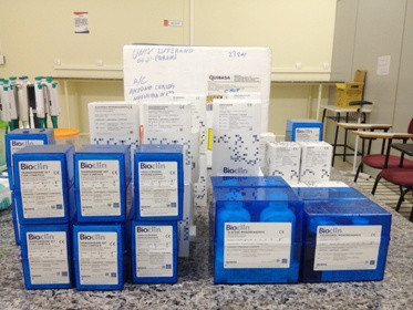 Bioclin investe em soluções da Sankhya. Foto: divulgação.