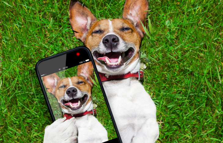 O Au.dote é gratuito e está disponível para iOS e Android. Foto: Javier Brosch/Shutterstock.