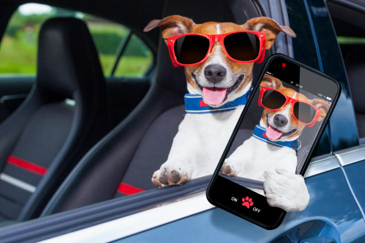 O e-commerce Pet Love agora conta com um app móvel. Foto: Javier Brosch/Shutterstock.