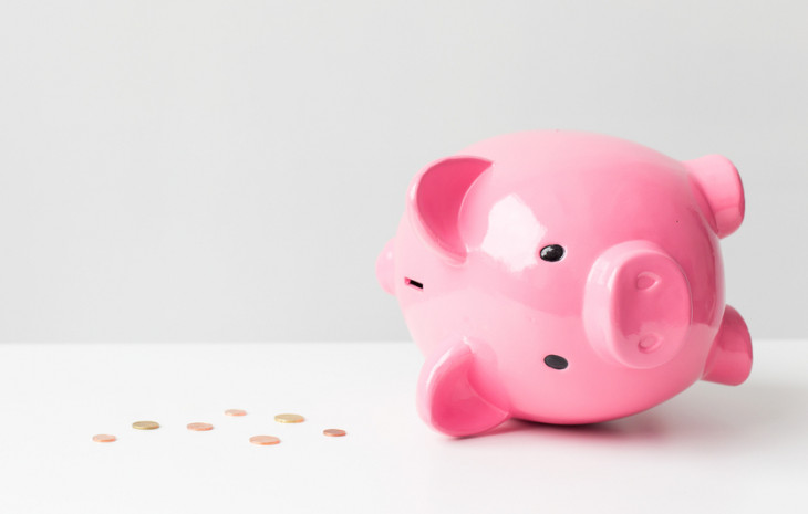 O PIB do Brasil caiu 1,9% no segundo trimestre de 2015. Foto: Kaspars Grinvalds/Shutterstock.