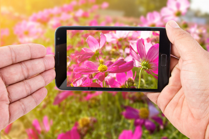 A Flores Online decidiu hospedar sua plataforma com a Equinix. Foto: AE.Panuwat Studio/Shutterstock.