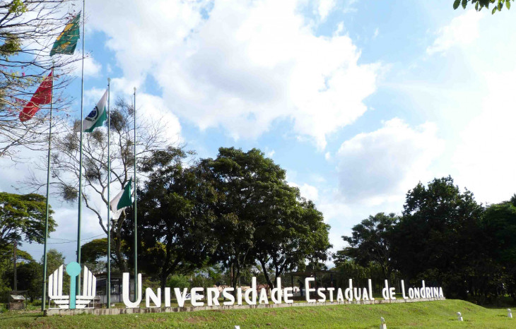 A Agência de Inovação Tecnológica da UEL selecionou quatro negócios para incubação. Foto: Divulgação.
