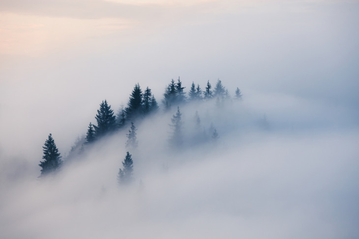 Depois do cloud computing, vem o fog. Foto: Nickolay Khoroshkov/Shutterstock.