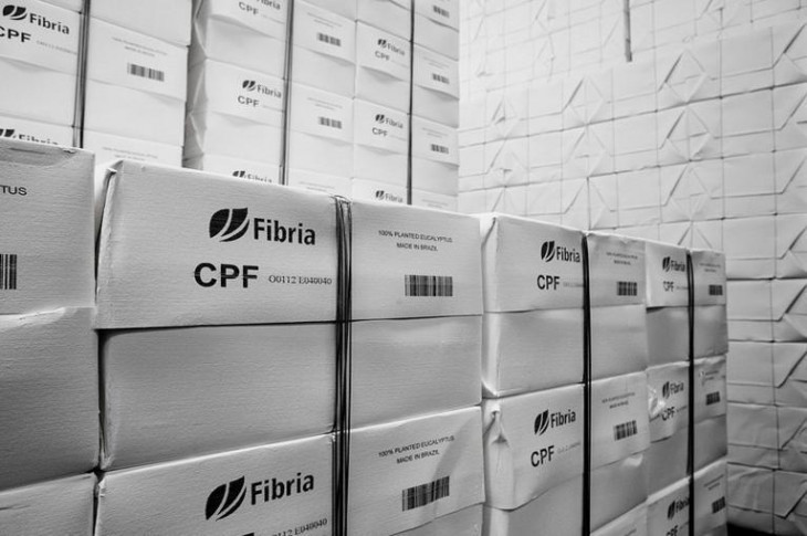 Celulose produzida pela Fibria. Foto: Flickr/Fibria.