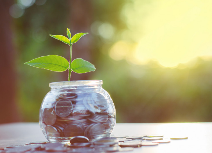 Dinheiro deve fomentar o desenvolvimento econômico. Foto: Shutterstock