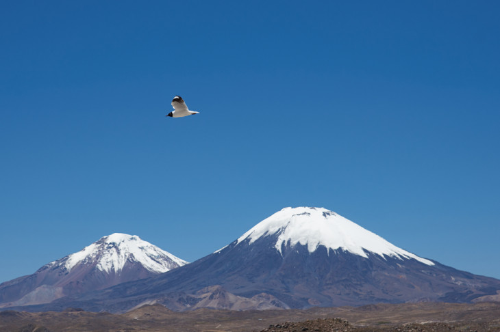 A Totvs quer expandir sua atuação em países da região andina. Foto: JeremyRichards/Shutterstock.