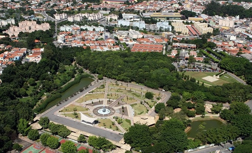 A Anjos do Brasil estabelecerá um núcleo regional em São Caetano. Foto: Divulgação.