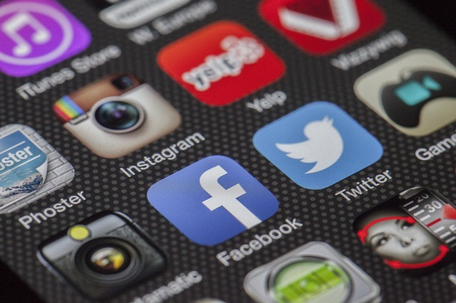 Xamarin foca desenvolvimento móvel. Foto: Pixabay.