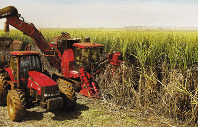 A Usina Santo Ângelo adotou o SAP Commodity Management. Foto: Divulgação.