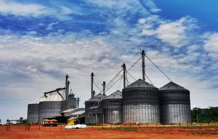 A Agrochapada é produtora de soja e criadora de gado. Foto: Divulgação.