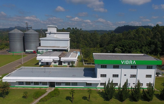 O Grupo Vibra é detentor das marcas avícolas Agrogen, Nat e Avia. Foto: Divulgação.