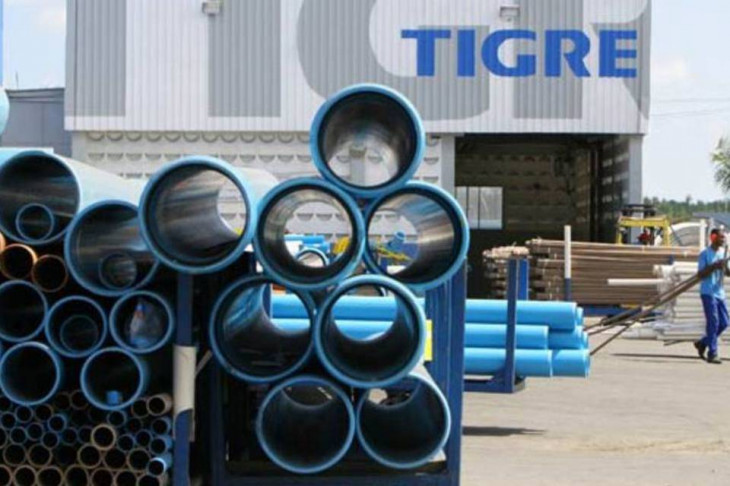 Tigre optou por não ter um CIO. Foto: Divulgação.