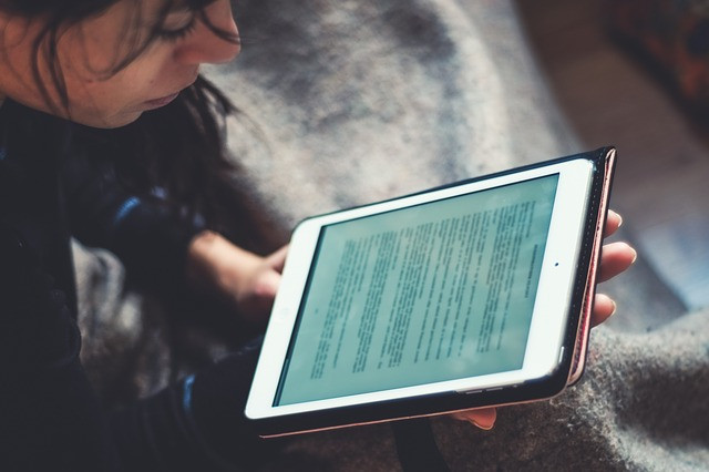 Ser Educacional reforçou seu EAD. Foto: Pixabay.