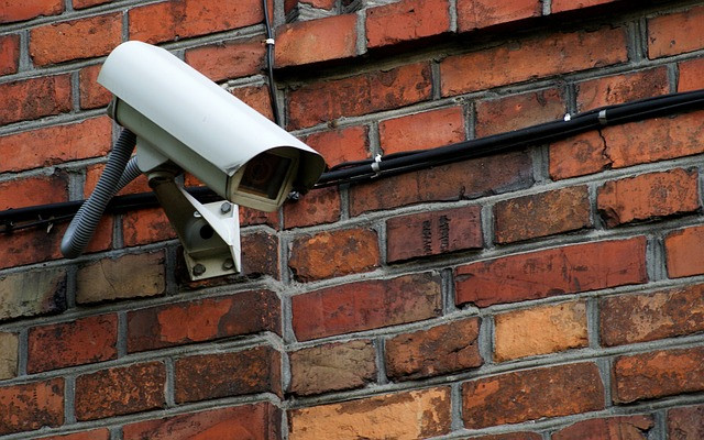 SVA faz software que analisa imagens de câmeras. Foto: Pixabay.