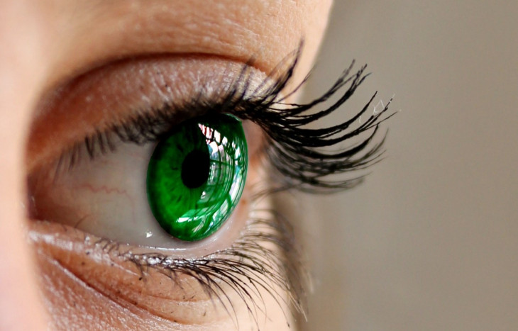 Bausch + Lomb é especialista em saúde dos olhos. Foto: Pixabay.