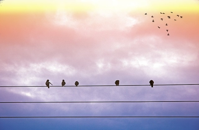 TAESA é dona de linhas de transmissão. Foto: Pixabay.
