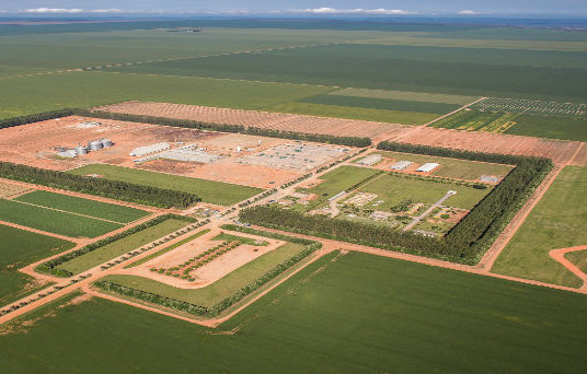 A TIM fez a ativação de cobertura 4G na Fazenda Panorama, da SLC Agrícola. Foto: Divulgação.