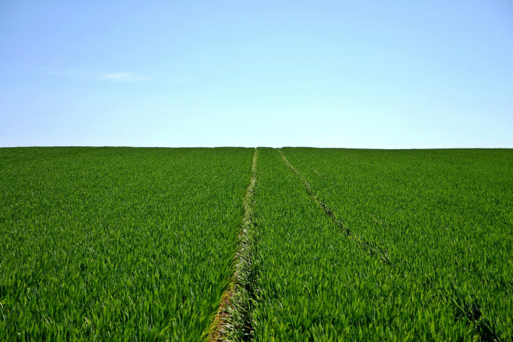 Nufarm é uma das maiores empresas de defensivos agrícolas.