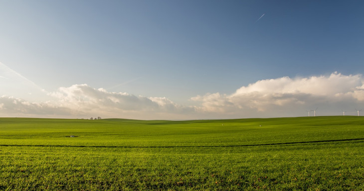 O projeto da TIM com a Adecoagro prevê a cobertura de uma área de mais de 600 mil hectares. Foto: Pexels.