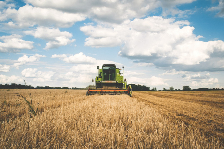 No total, seis startups fazem parte do Agro IoT Lab. Foto: Pexels.