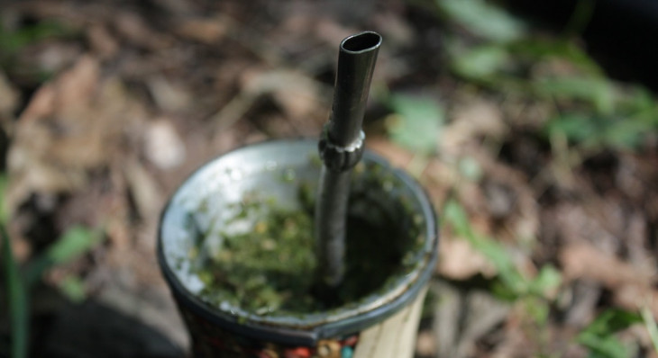 Viaje a Dourados e tome um tererê bem gelado. Foto: flickr.com/photos/insoniafotografada/