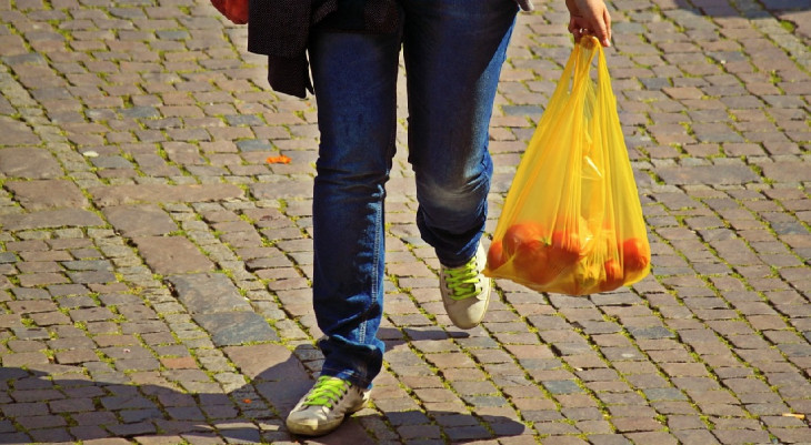 Sacolas com os dias contados? Foto: Pixabay.