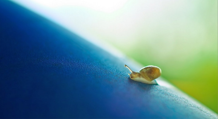 Migração para o S/4 Hana evolui devagar. Foto: Pexels.