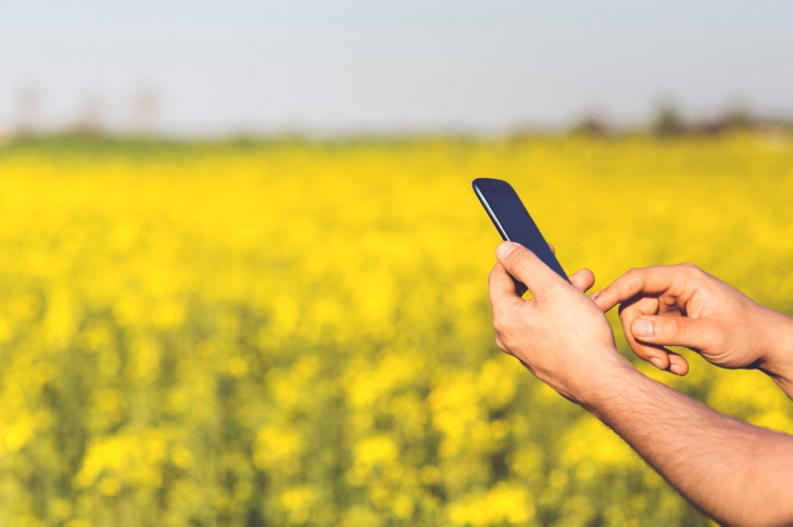 Usuários de 4G em cidades consideradas rurais contam, em média, com 41% de disponibilidade de sinal. Foto: Pexels.