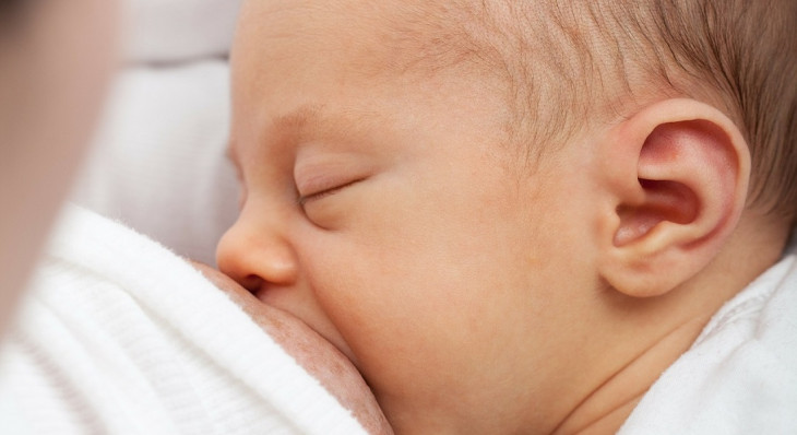 O aleitamento materno é essencial tanto para o bebê quanto para a mãe. Foto: Pixabay.