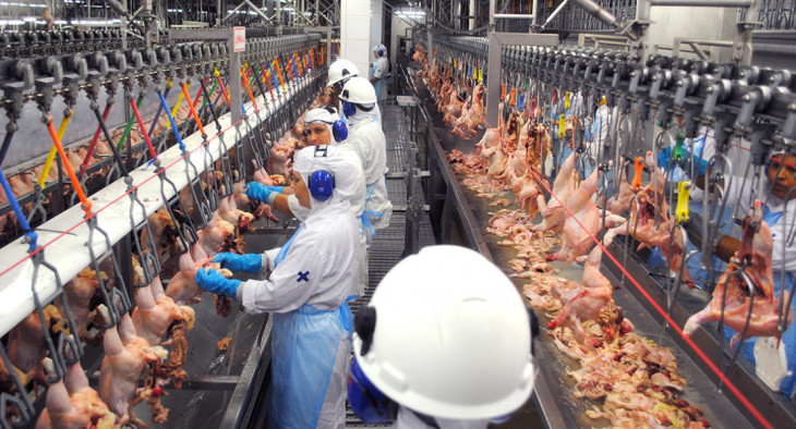 Multinacional brasileira tem marcas como Sadia, Perdigão e Qualy. Foto: divulgação.
