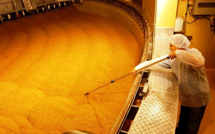 Agrária é uma das grandes fornecedoras de cevada do país. Foto: Divulgação Agrária.