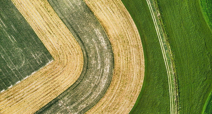 Tecnologia da Solinftec permite economizar insumos. Foto: Pexels.