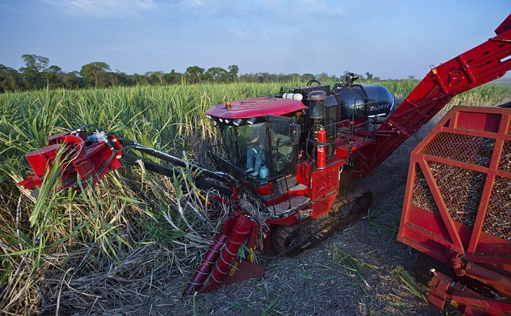 Máquina da Case IH em ação na colheita da cana. Foto: Divulgação.