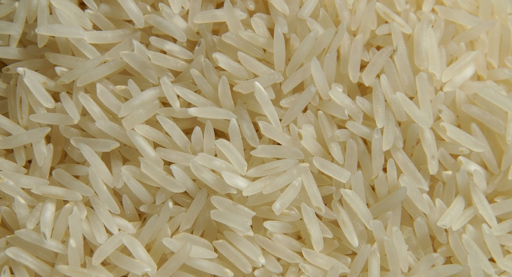 Região Sul do Rio Grande do Sul é uma grande produtora de arroz. Foto: Pixabay.