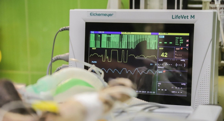 SOS Cardio era cliente HP há 15 anos. Foto: Pexels.