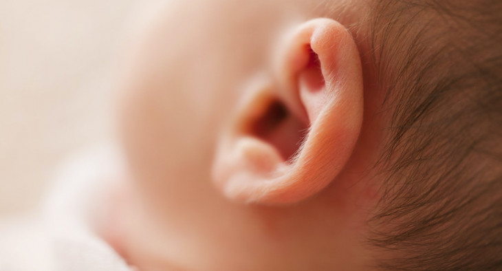 A vantagem da orelha seria que o desenho das suas linhas não muda, apenas cresce. Foto: Pexels.