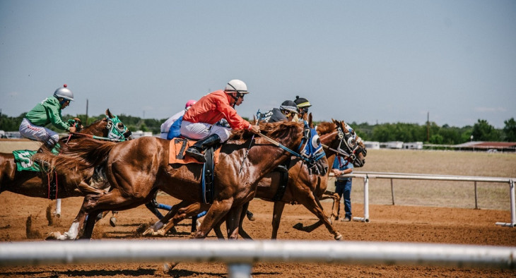 Setor de TI tem três cavalos no páreo pelas duas vagas no conselho da CNPD. Foto: Pexels.