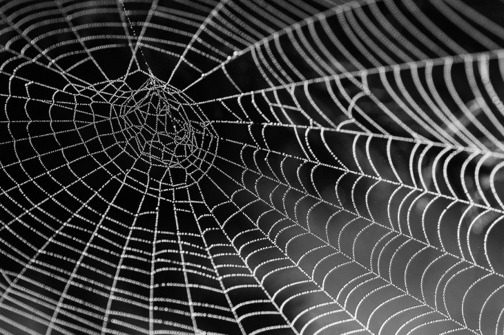 Algar Telecom passa a ter 110 mil quilômetros de fibra óptica. Foto: Pexels.